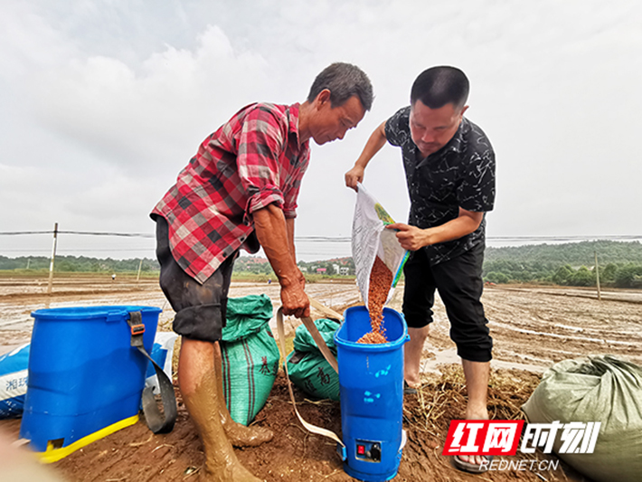 灾后复产忙①|示范带动  衡阳4个市级示范点增强群众复产信心