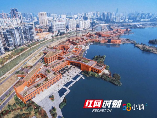 岳麓58.jpg 岳麓58.jpg