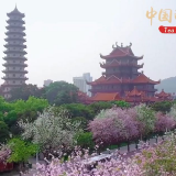 殊荣！世界遗产保护进入“中国时间”