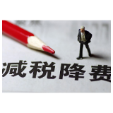 确保减税降费政策落地生根 税务总局派36个督查组