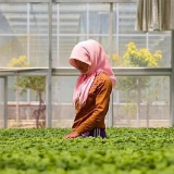 从“靠天吃饭”到“断穷根”——宁夏扶贫工作见闻