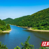 退耕还林20年丨凤凰：生态环境改善 实现“三赢”