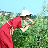 岁时·廿四章丨大暑时光 澧水流淌岸有兰香