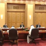 独家视频丨习近平同阿联酋阿布扎比王储举行会谈