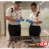 长沙海关查获南非穿山甲鳞片和虎骨制品