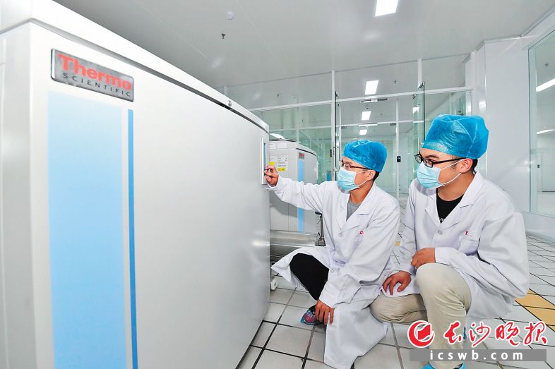 　　今年6月底，湖南首个干细胞与再生医学科技园——中南源品干细胞科技园开园。 长沙晚报全媒体记者 王志伟 摄