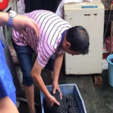 雷霆出击治燃煤 为“天心蓝”保驾护航