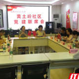 区域化党建联席会 为社区发展建言献策