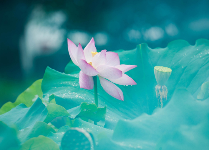 QQ??20190715105019_??.png QQ??20190715105019_??.png