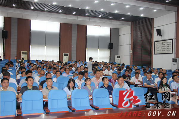 IMG_9658_副本.jpg