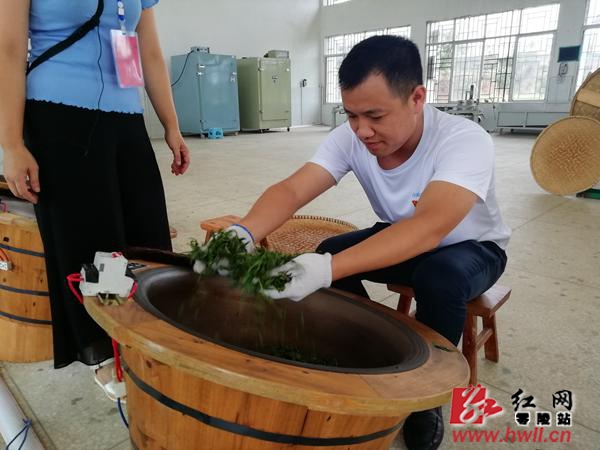 20190722090408548467.jpg 20190722090408548467.jpg