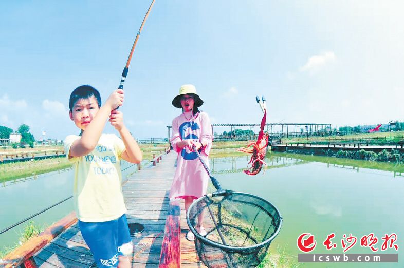 　　宁乡大成桥镇乡村振兴注重农旅结合，发展乡村旅游业。这是游客在农家乐钓小龙虾。长沙晚报全媒体记者 张禹 通讯员 任泉 摄影报道