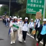教孩子高速上拦车穷游 南方日报：别再干花钱买危险的蠢事