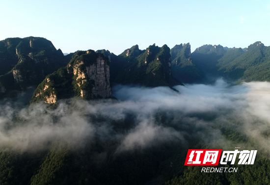 张家界武陵源十里画廊：雨后薄雾弥漫飘飘欲仙