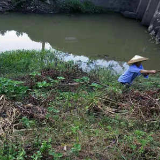 “网格化”助推农村人居环境整治工作显实效