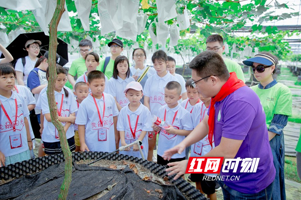 衡阳 “向日葵”援助计划项目正式启动 蒸湘区56名困难儿童受助