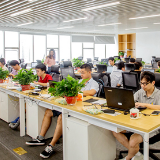 老城区,新活力!芙蓉区以存量资源换经济增长