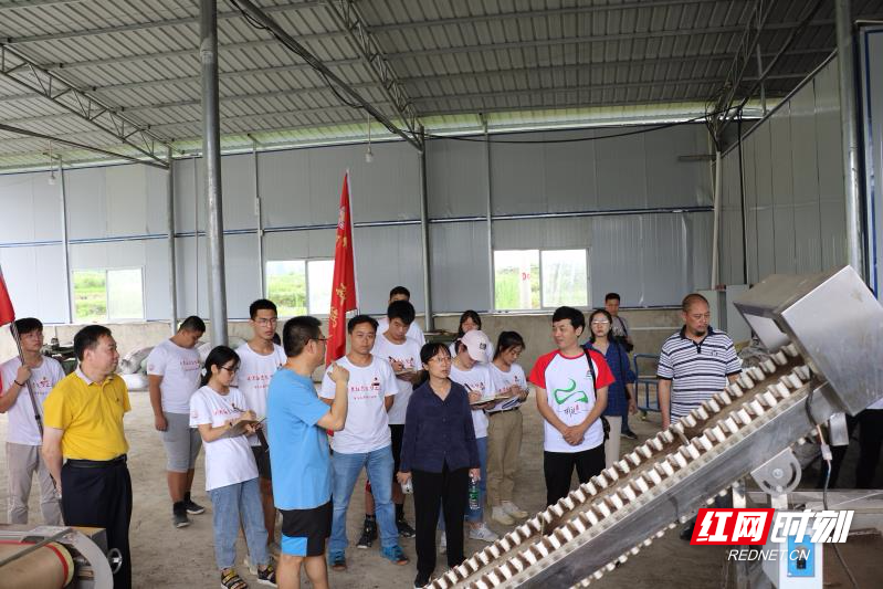 吉首大学“碳氢氧CHO”科技支农小分队将科研成果应用在武陵大地.jpg