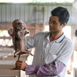 农民林景虹“养鼠”脱贫