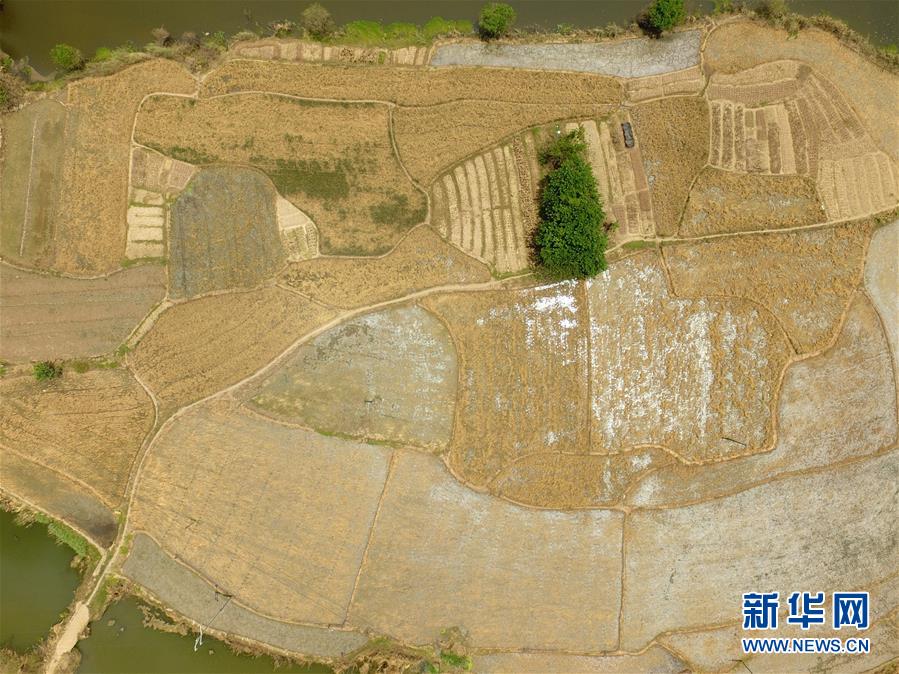 这是7月23日拍摄的湖南省衡南县咸塘镇高桥村被洪水淹过的农田（无人机拍摄）。 当日，中国红十字基金会在湖南省衡南县咸塘镇高桥村为受洪灾影响的群众发放“赈济家庭箱”，支援当地受灾民众度过灾后生活。此前，湘江流域暴发洪水，衡南县高桥村受灾严重，3300余亩农田被淹，2900余亩农田绝收。 新华社记者 薛宇舸 摄