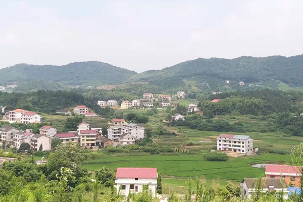 ​娄星区石塘村：村规民约助推乡村振兴