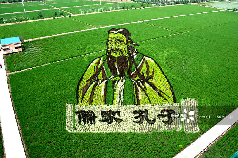 2018年6月18日，沈阳市沈北新区拍摄的“3D稻田画”。