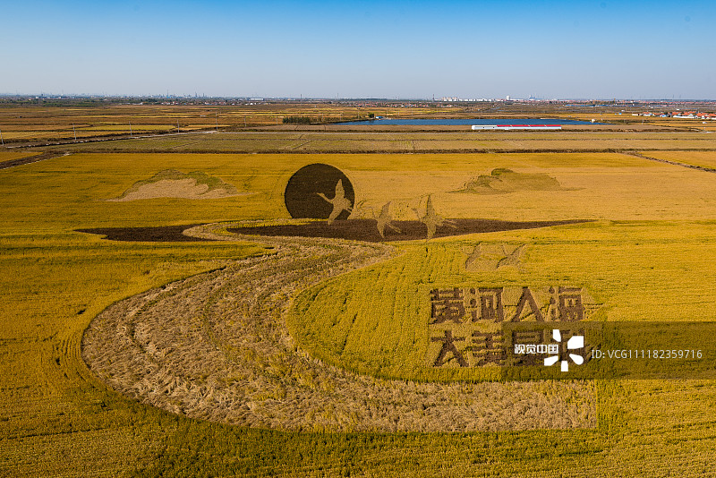 2018年10月23日，山东东营，垦利稻田画。300亩的稻田中，稻田为纸、水稻为笔，绘制黄河入海口的巨幅画卷。稻田画由九种不同颜色的水稻组成，通过前期设计好需要展出的图像，种植不同颜色的水稻，勾绘成平面图，随着季节的变换，呈现着不同的画面。当原始的稻田与创新的艺术结合，秋天，也多了几分收获之外的味道。