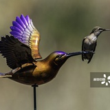 花园超大号蜂鸟雕像成完美“栖木”