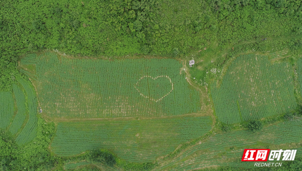 fb8f51fc28ea277af61dc8f12e08eca.jpg fb8f51fc28ea277af61dc8f12e08eca.jpg