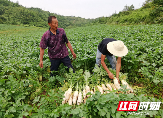 0affb657988a029557a41f1e1c998a8.jpg 0affb657988a029557a41f1e1c998a8.jpg