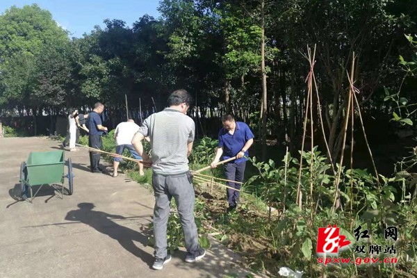 双牌卫健局 拔菜除草 还小区一片洁净