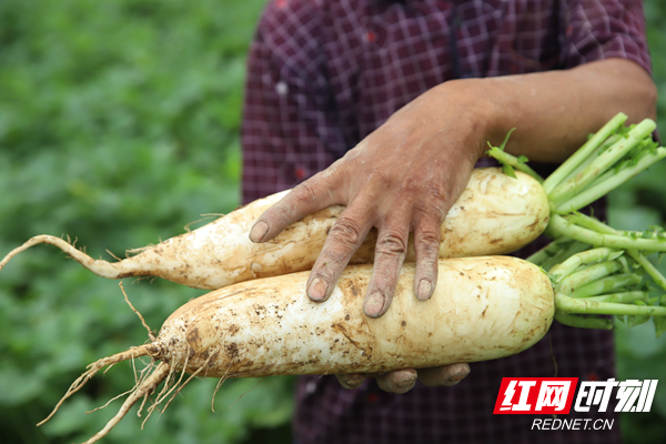 325d58e1f7777c7ff01a88945dc0275.jpg 325d58e1f7777c7ff01a88945dc0275.jpg