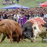 四川凉山彝族欢度火把节
