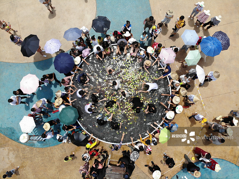 2019年7月25日，广西桂林千古情种植的水果大丰收，工作人员将水果放入巨型冰桶内冰镇，邀请众多游人走入冰桶中享用美味的水果，用这样的方式消暑降温。