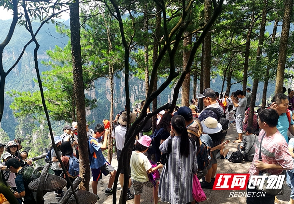 张家界武陵源景区迎来暑期旅游接待高峰