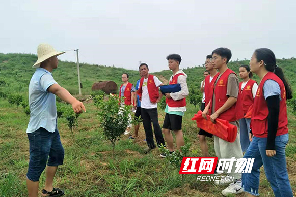 工程系"归雁扶贫"和"高铁国风"两个项目团队走进衡阳县渣江镇六印村