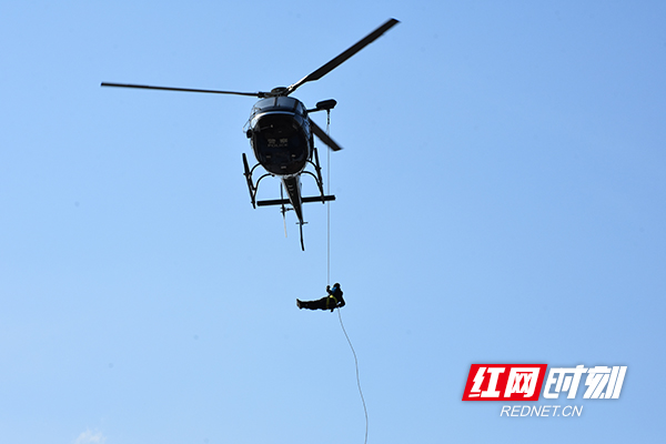 DSC_1239_wps图片.JPG