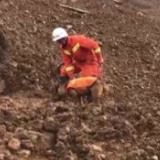 贵州水城特大山体滑坡已致36人遇难 15人失联