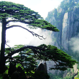 33座城市发表《福州宣言》 倡议重视文化遗产保护