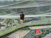 户帮户 亲帮亲丨“我要带领乡亲抓住这个脱贫致富的机遇”