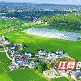 “分”出好习惯 好环境 长沙县“分”景这边独好