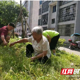 居民大小事都在小区解决 这个党支部有几把刷子