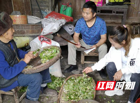 中国人寿驻村书记谢秀容：在扶贫一线快乐地奋斗