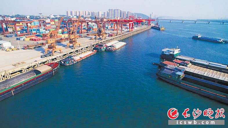 　　外贸集装箱从长沙港通江达海、物流全球，长沙港成为长沙开放型经济的门户。资料图片