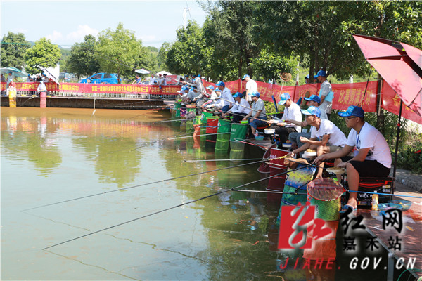 QQ图片20190729172912_副本.jpg