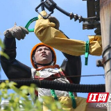 娄底供电公司带电消缺避免用户酷暑中受停电困扰