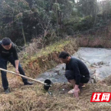 罚款十万，拘留五天！文家市镇严厉查处畜禽养殖污染违法行为