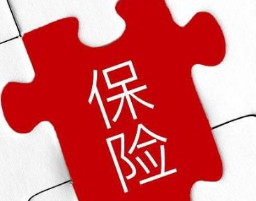 上半年原保险保费收入25537亿元，同比增长14.16%