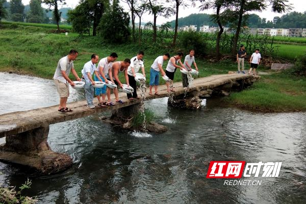 洞口县开展民间河长护河志愿行动