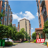 小区来了个能干“管家” 解决一批“老大难”问题